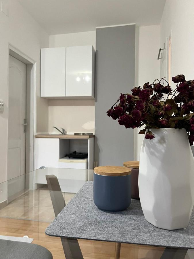Green Apartments דירה זלינקה